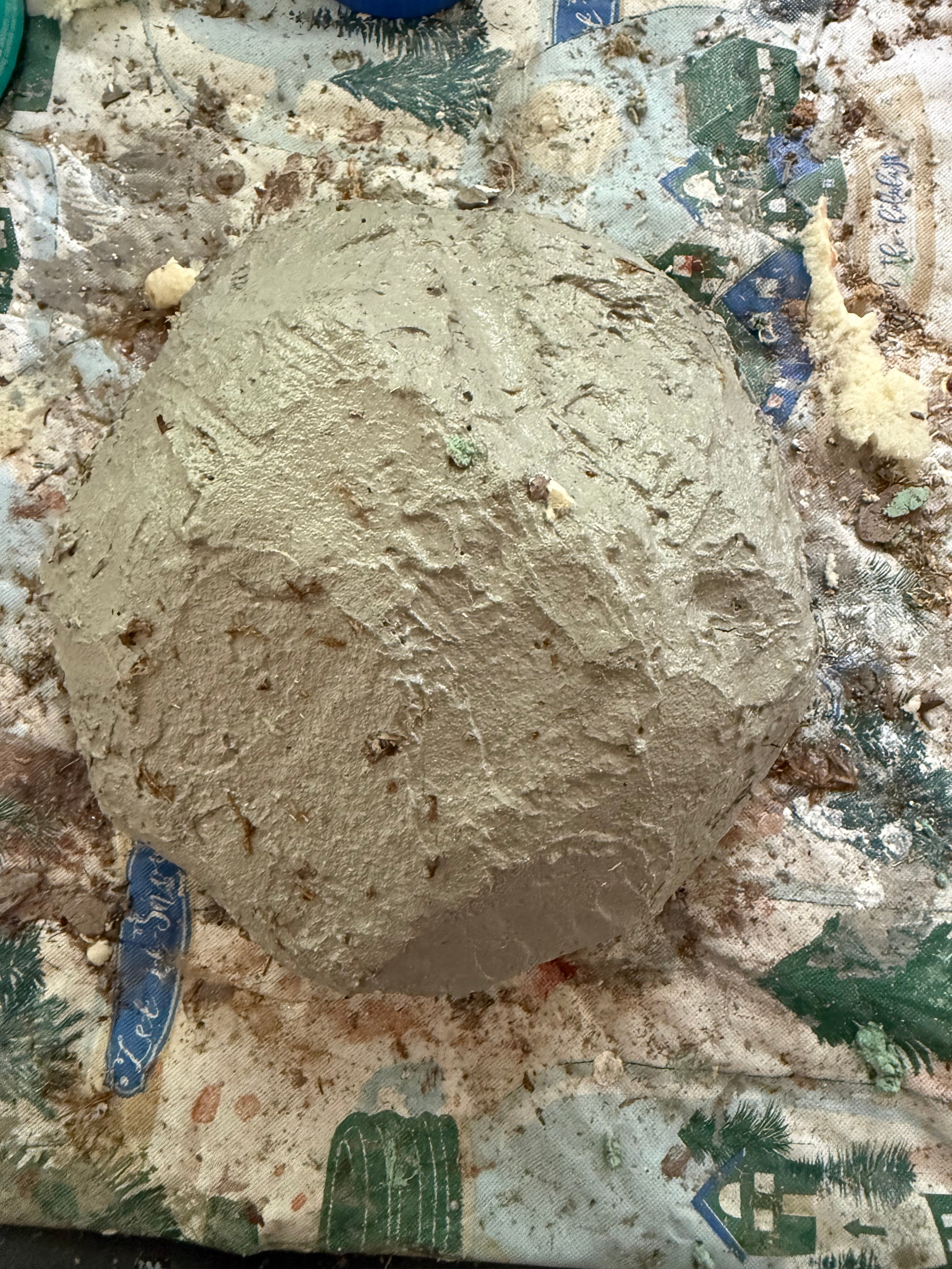 Handcrafted Rock Hide — Small